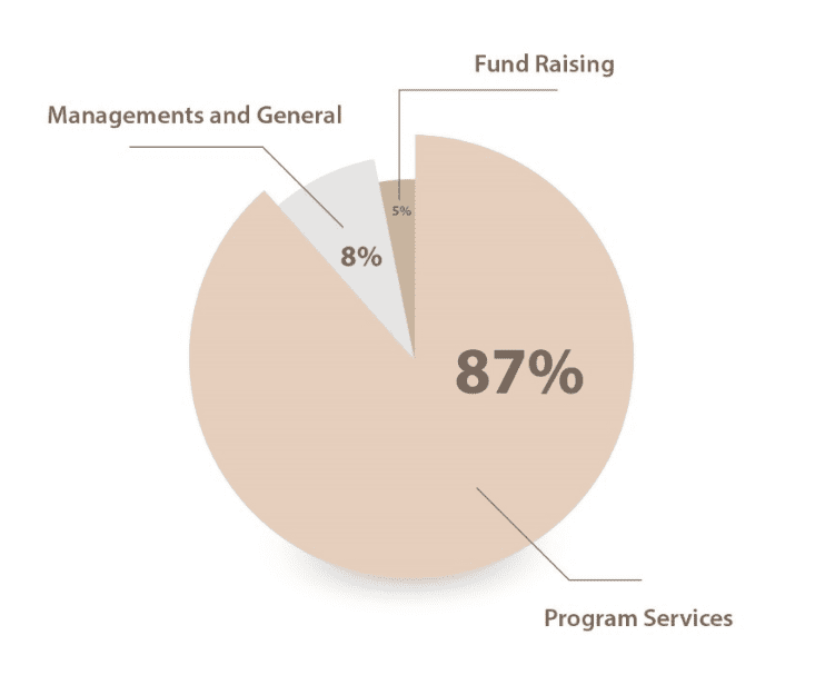 A pie chart showing the percentage of fund raising, program services and management.